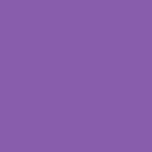 Pigmented-Purple-661-41005A Pigmented-Purple-661-41005A